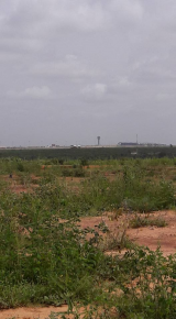 A vendre des terrains bien placé à DIASS prés de l'aéroport blaise diagne