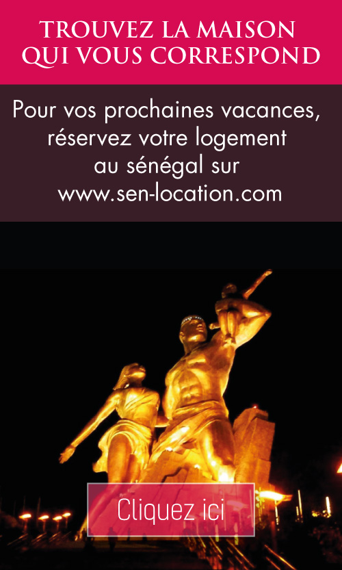 bannière publicitaire senlocation